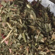 《瞿麦》新货过筛干净无杂质正品保证质量
