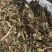 《瞿麦》新货过筛干净无杂质正品保证质量