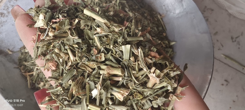 《瞿麦》新货过筛干净无杂质正品保证质量