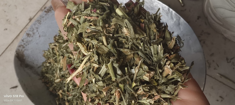 《瞿麦》新货过筛干净无杂质正品保证质量
