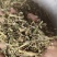 《瞿麦》新货过筛干净无杂质正品保证质量