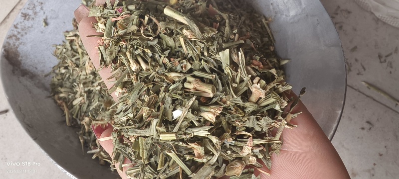 《瞿麦》新货过筛干净无杂质正品保证质量