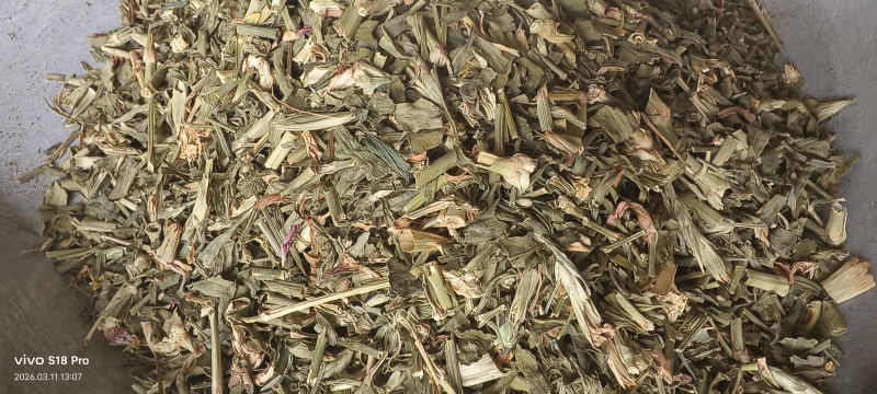 《瞿麦》新货过筛干净无杂质正品保证质量