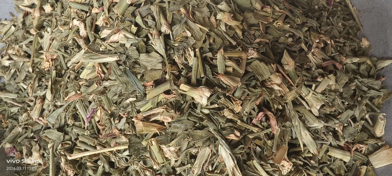 《瞿麦》新货过筛干净无杂质正品保证质量