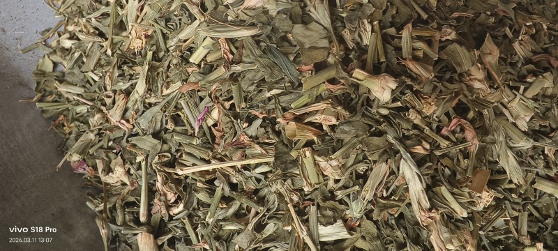 《瞿麦》新货过筛干净无杂质正品保证质量