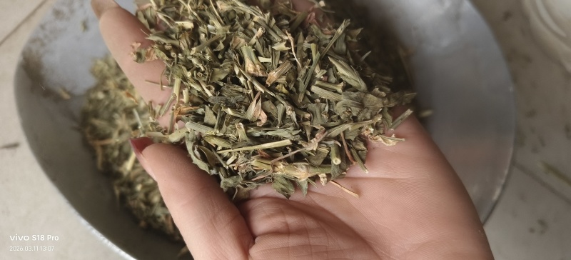 《瞿麦》新货过筛干净无杂质正品保证质量