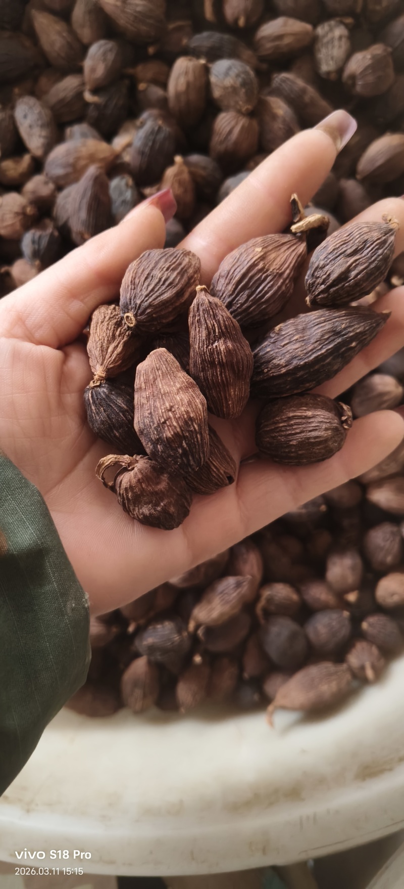 《草果》精品草果量大从优