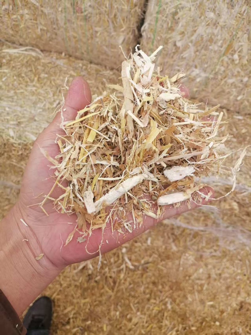 精品柔丝苞谷秸秆饲草