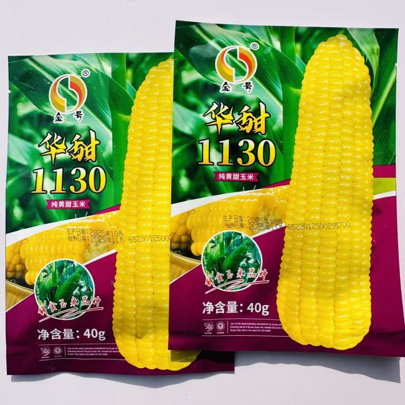 华甜1130甜玉米种子超甜黄色水果玉米种子糖度高鲜食种子