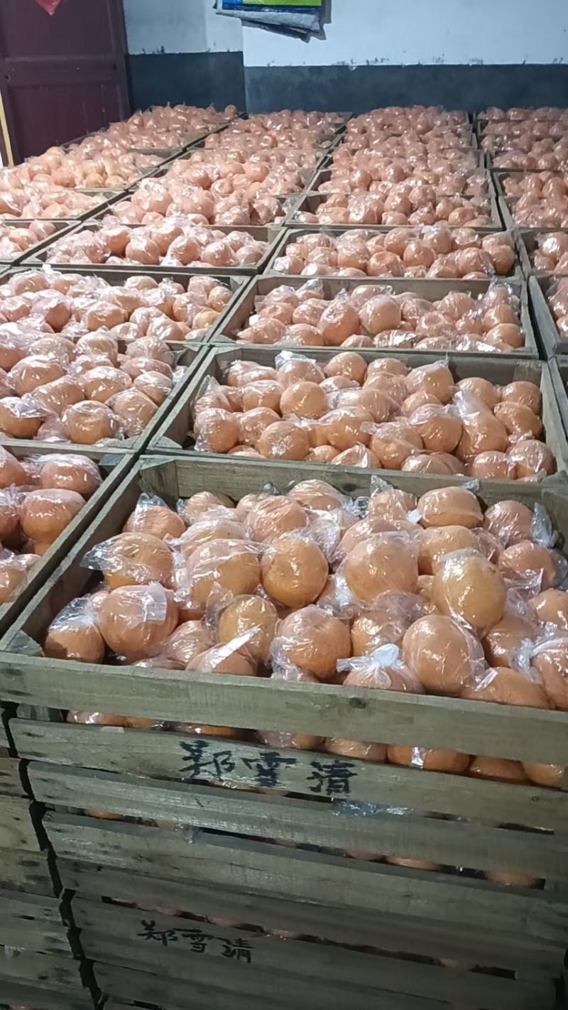 衢州柯城区石梁镇老父亲种植的几万斤，便宜