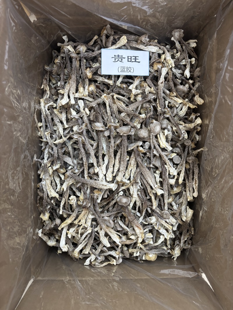 鹿茸菇干货产地直销批发浓香切根脆脆菇精选菌菇蘑菇食用菌