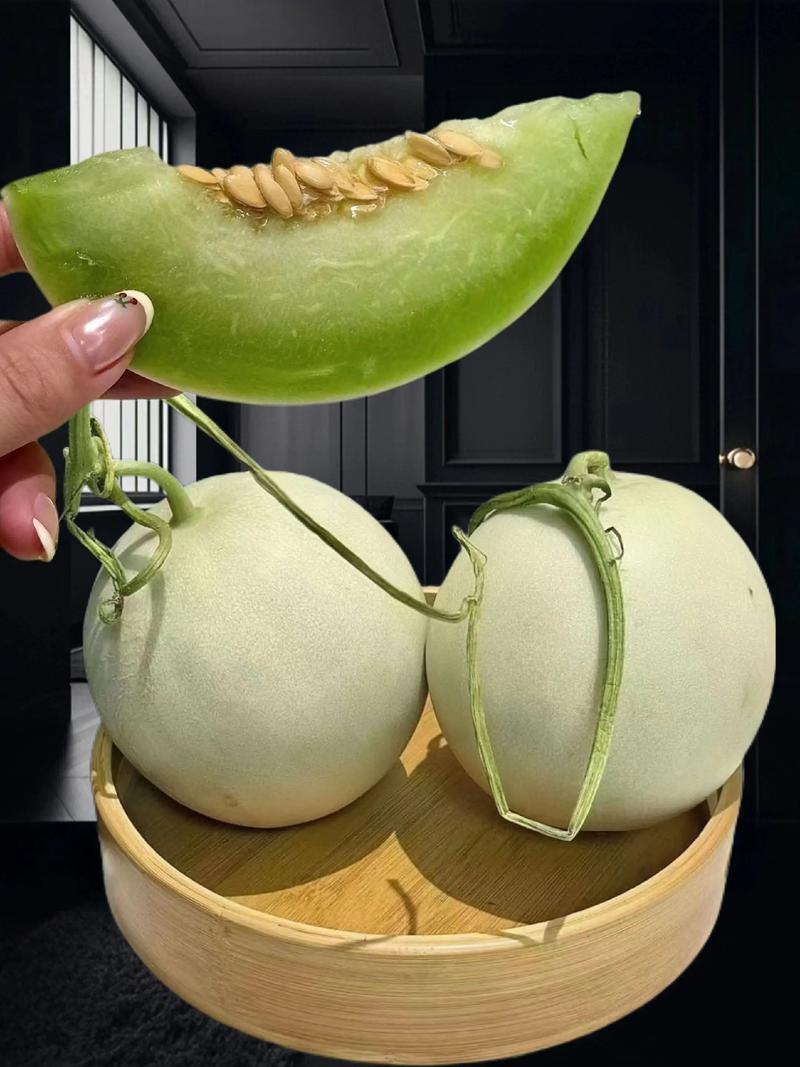 精品玉菇甜瓜大量上市，对接电商市场商超，超甜的冰淇淋甜瓜