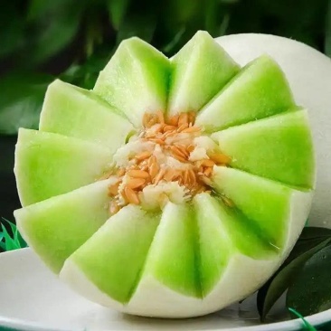 精品玉菇甜瓜大量上市，对接电商市场商超，超甜的冰淇淋甜瓜