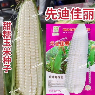 先迪佳丽甜糯玉米种子沃蔬抗病抗倒伏鲜绿大棒甜加糯玉米种籽