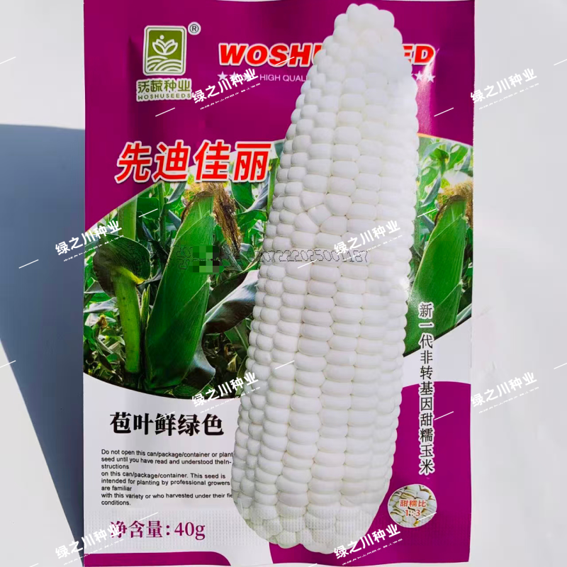 先迪佳丽甜糯玉米种子沃蔬抗病抗倒伏鲜绿大棒甜加糯玉米种籽