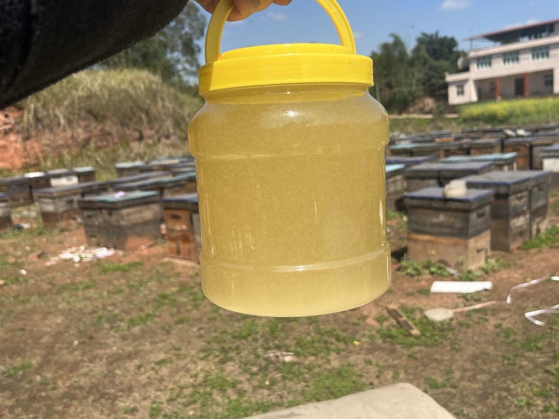 油菜花蜜，大量有货产地一手货源，量大优惠对接全国市场