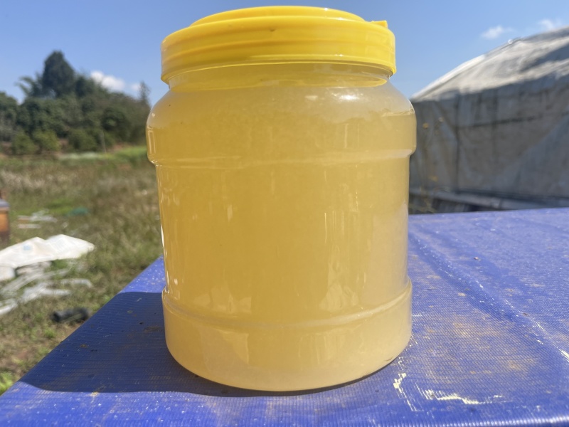 油菜花蜜，大量有货产地一手货源，量大优惠对接全国市场