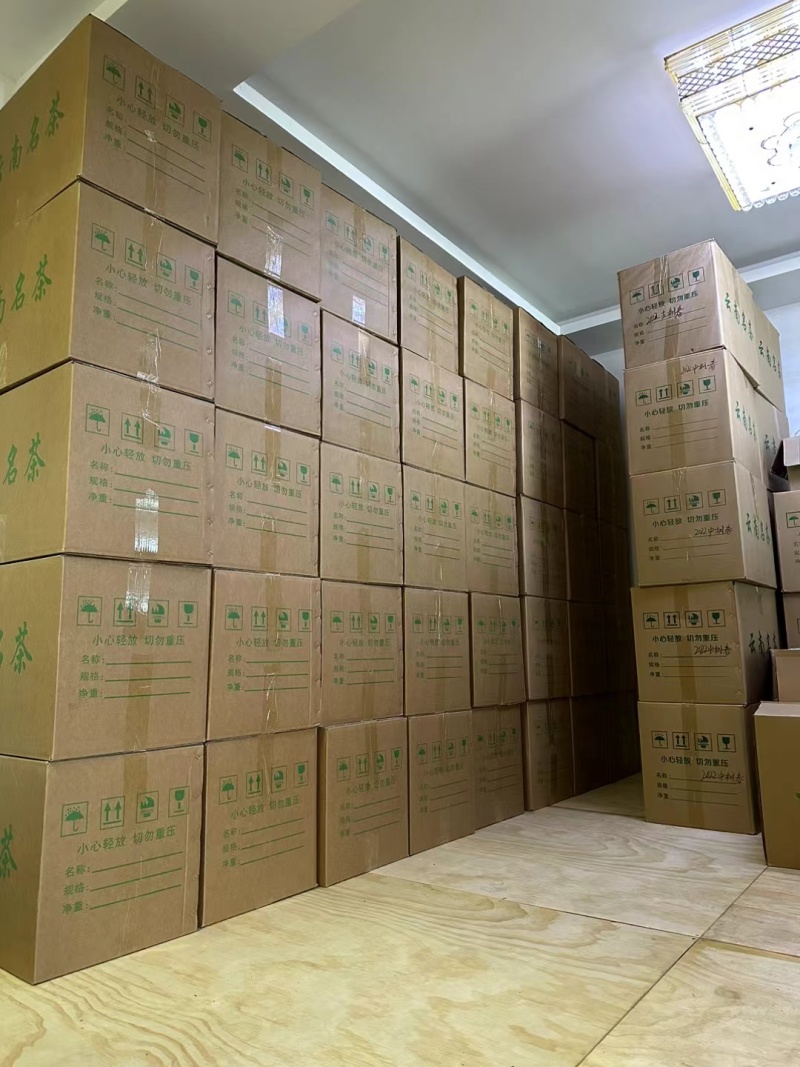 2025年头春勐库冰岛核心产区古树晒红茶