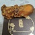 鸡宝