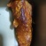 鸡宝