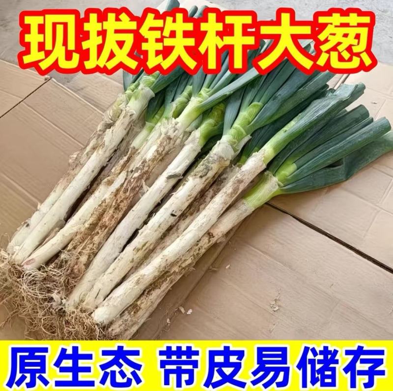 急售新鲜大葱，给钱就卖！！！