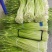 精品白帽蒜薹，湖北本地大量上市