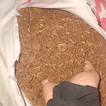 湖南茶清塘肥水杀杂鱼福寿螺田螺不伤虾蟹，防虫害天然有机肥