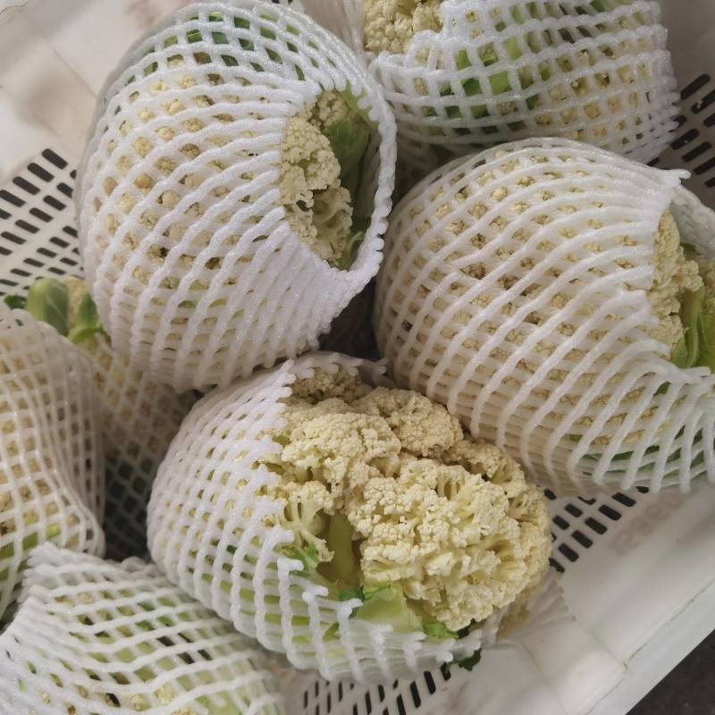 花菜青梗白面有机花菜松花菜超市电商加工厂