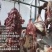 正宗土黄牛肉冷鲜排酸黄膘肉香纯干不注水长期稳定供