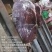 正宗土黄牛肉冷鲜排酸黄膘肉香纯干不注水长期稳定供
