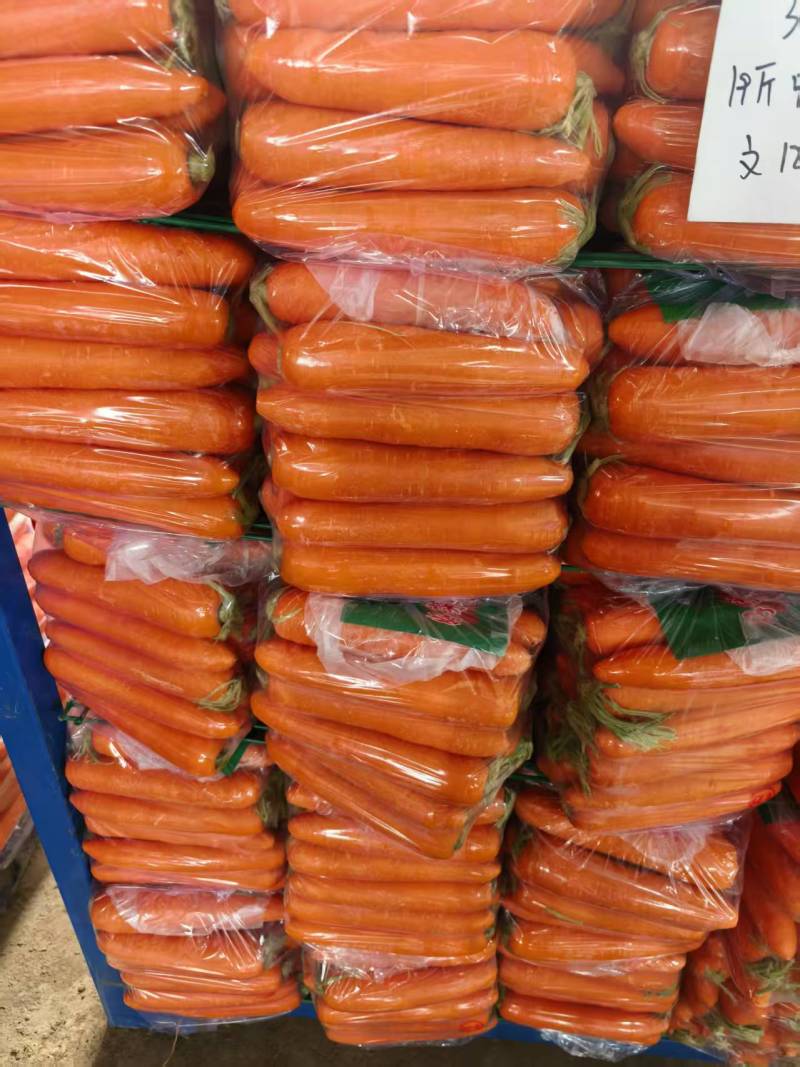 胡萝卜红萝卜精品杂交萝卜