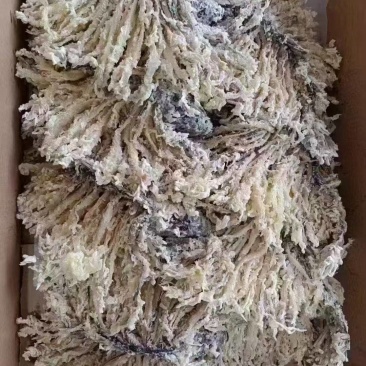 品名：金毛狮子鱼规格：1件5条