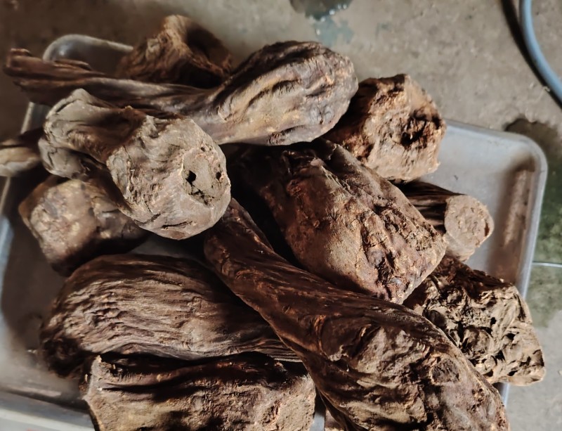 甘肃自产高含量大黄二年生熏晒两种大黄整个发货包邮