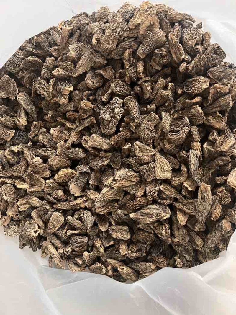野生羊肚菌大货批发