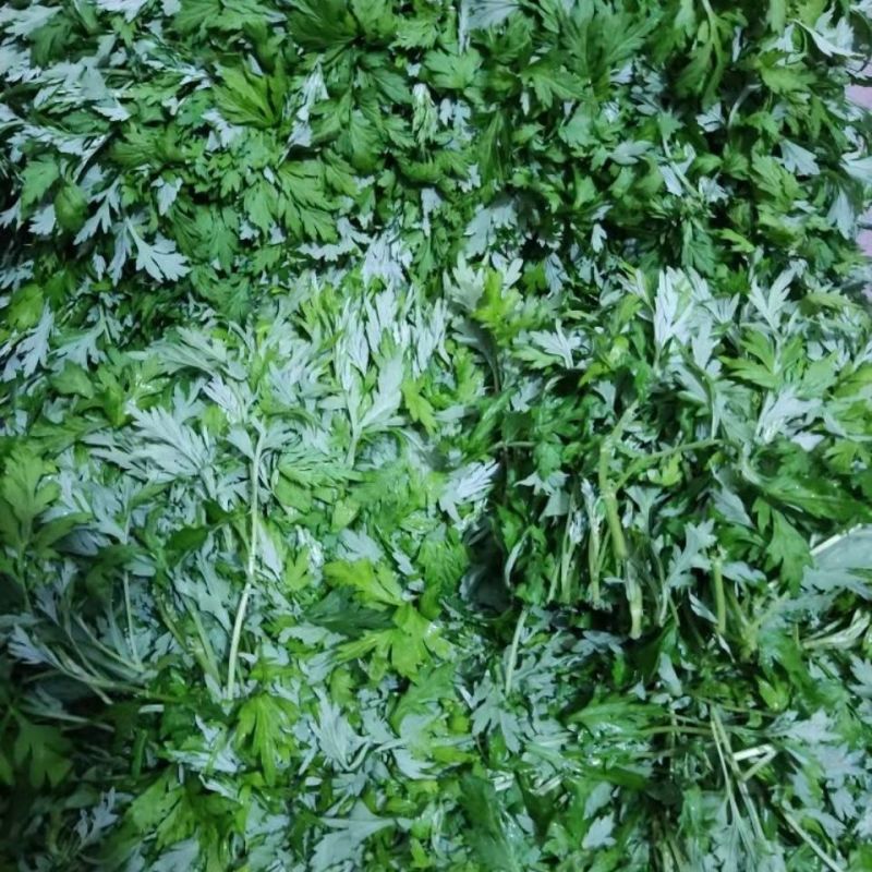 广东新鲜艾叶草食用艾草野菜现摘青团糍粑粑清明果嫩艾叶