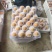 四川枇杷大量上市，工厂果，罐头果，市场精品货，支持一件代