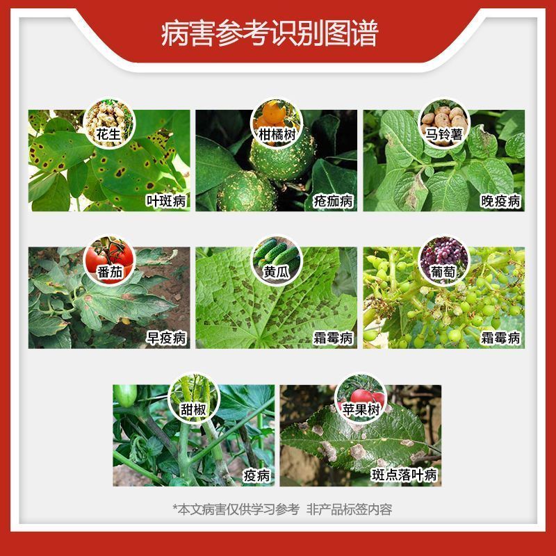绿粉80%代森锰锌澳纯大生叶斑炭疽霜霉病代森猛正品杀菌剂