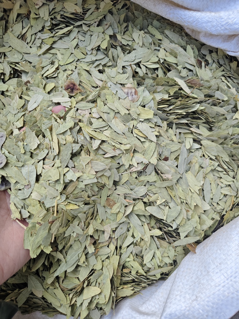 番泻叶各种规格番泻叶齐全批发零售量大从优