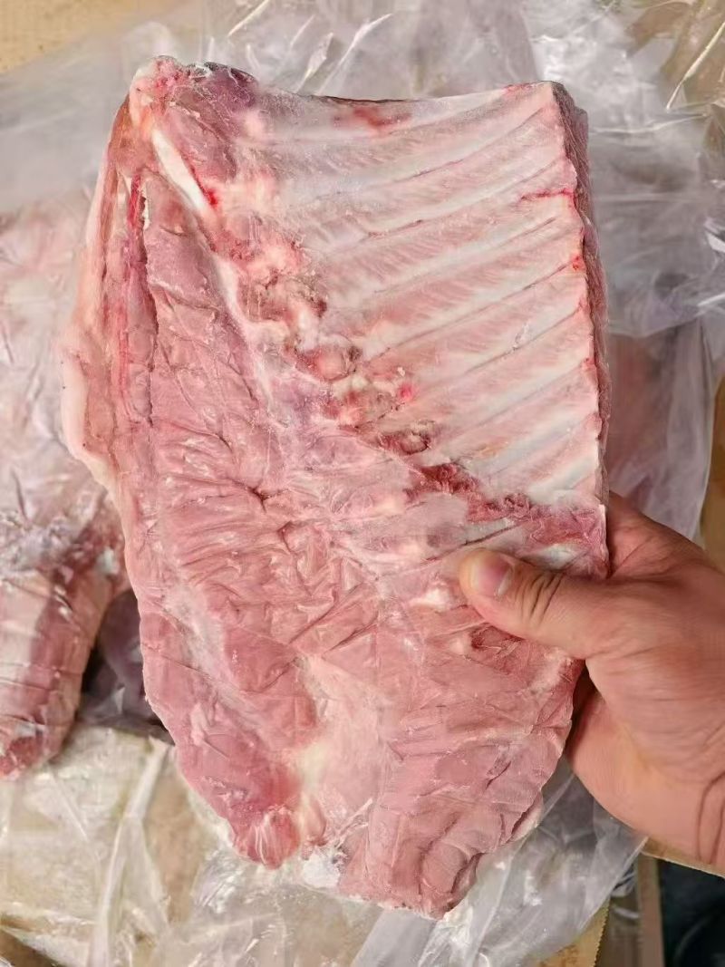 毛肋排
