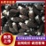 头茬羊肚菌鲜品产地直供量大从优欢迎采购保质