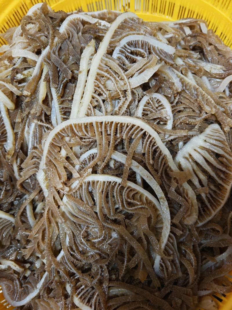 茶色千层肚，性价比高