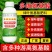 奥丰多维氨基酸绿叶提苗促花促果提质增产补充营养农用水溶肥