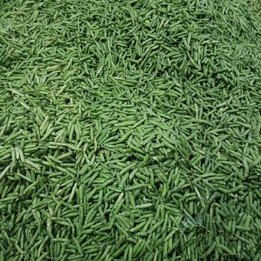 碗豆