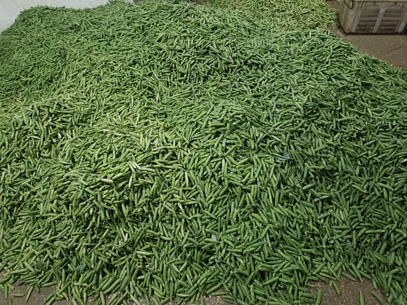 碗豆
