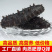 即食海参辽参底播参品质货源支持贴牌定制高品质深海海参大连