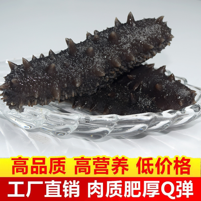 即食海参辽参底播参品质货源支持贴牌定制高品质深海海参大连