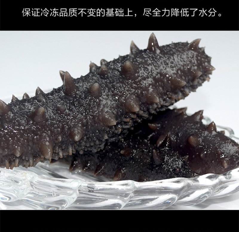 即食海参辽参底播参品质货源支持贴牌定制高品质深海海参大连