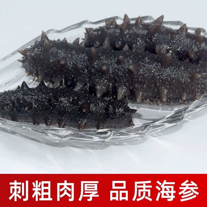 即食海参辽参底播参品质货源支持贴牌定制高品质深海海参大连