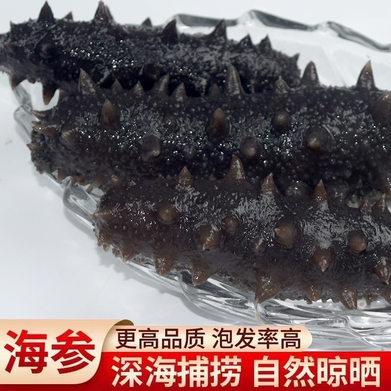即食海参辽参底播参品质货源支持贴牌定制高品质深海海参大连