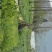 新土豆